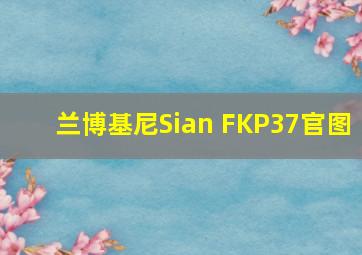 兰博基尼Sian FKP37官图